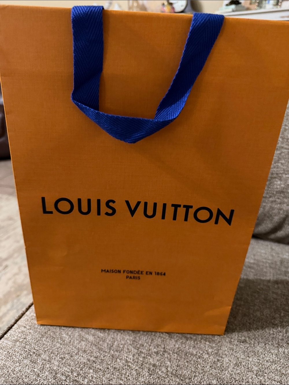 Louis Vuitton authentic shopping or gift bag